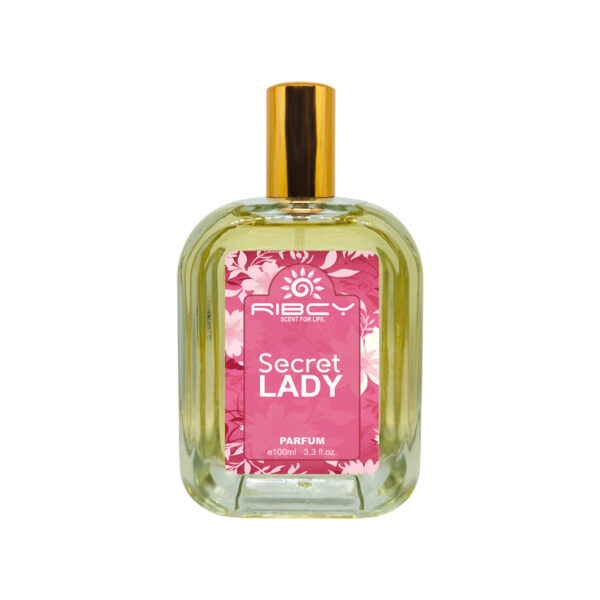 Secret Lady - Image 2