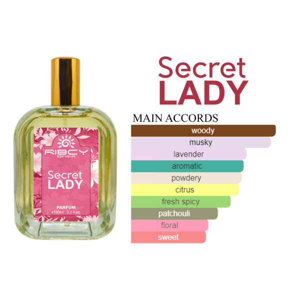 Secret Lady - Image 3