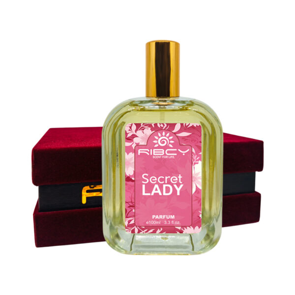 Secret Lady - Image 6