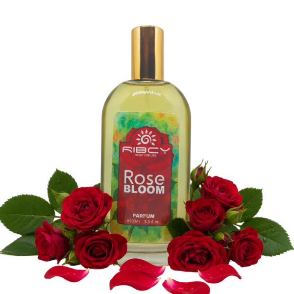 Rose Bloom