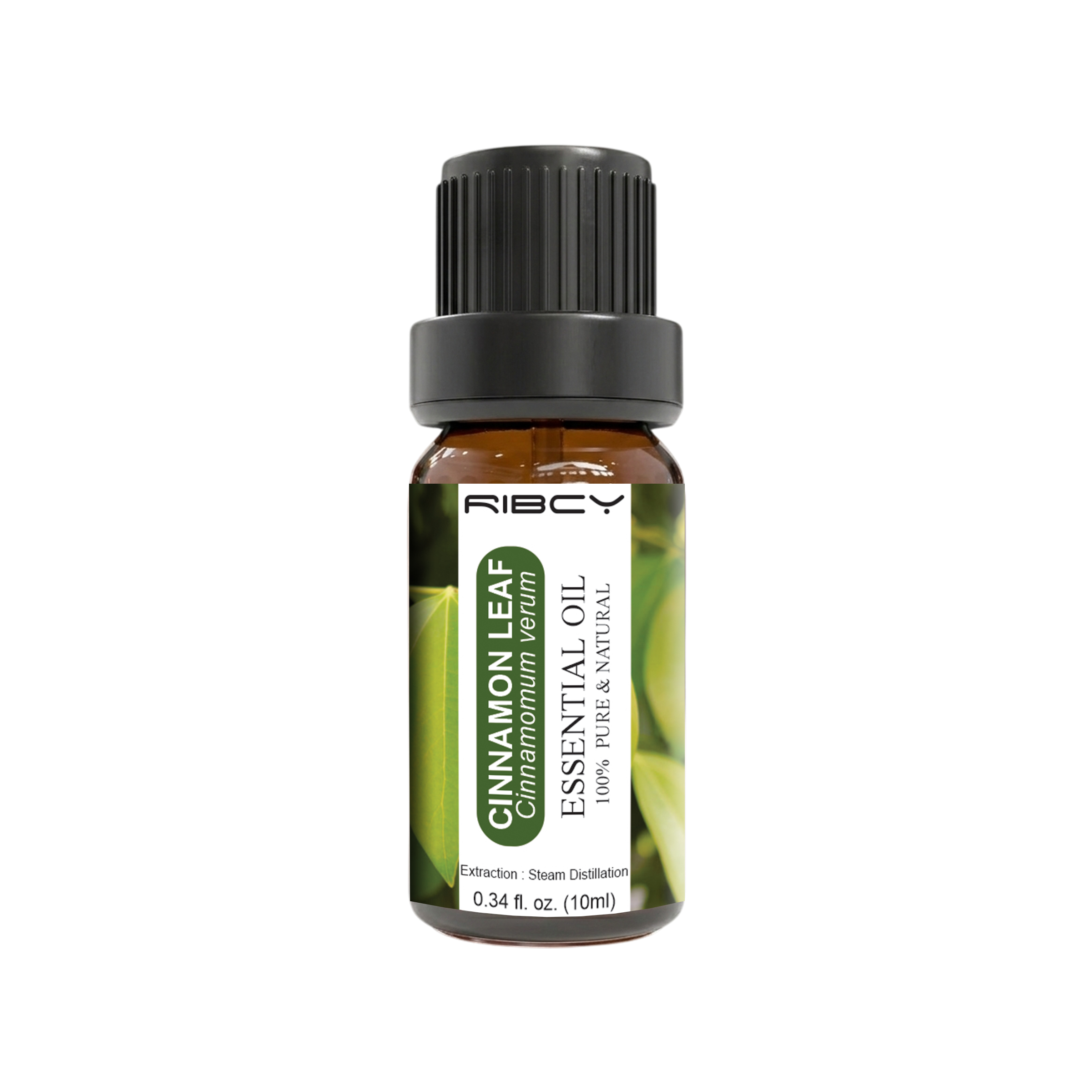 Cinnamon Leaf Essential Oil