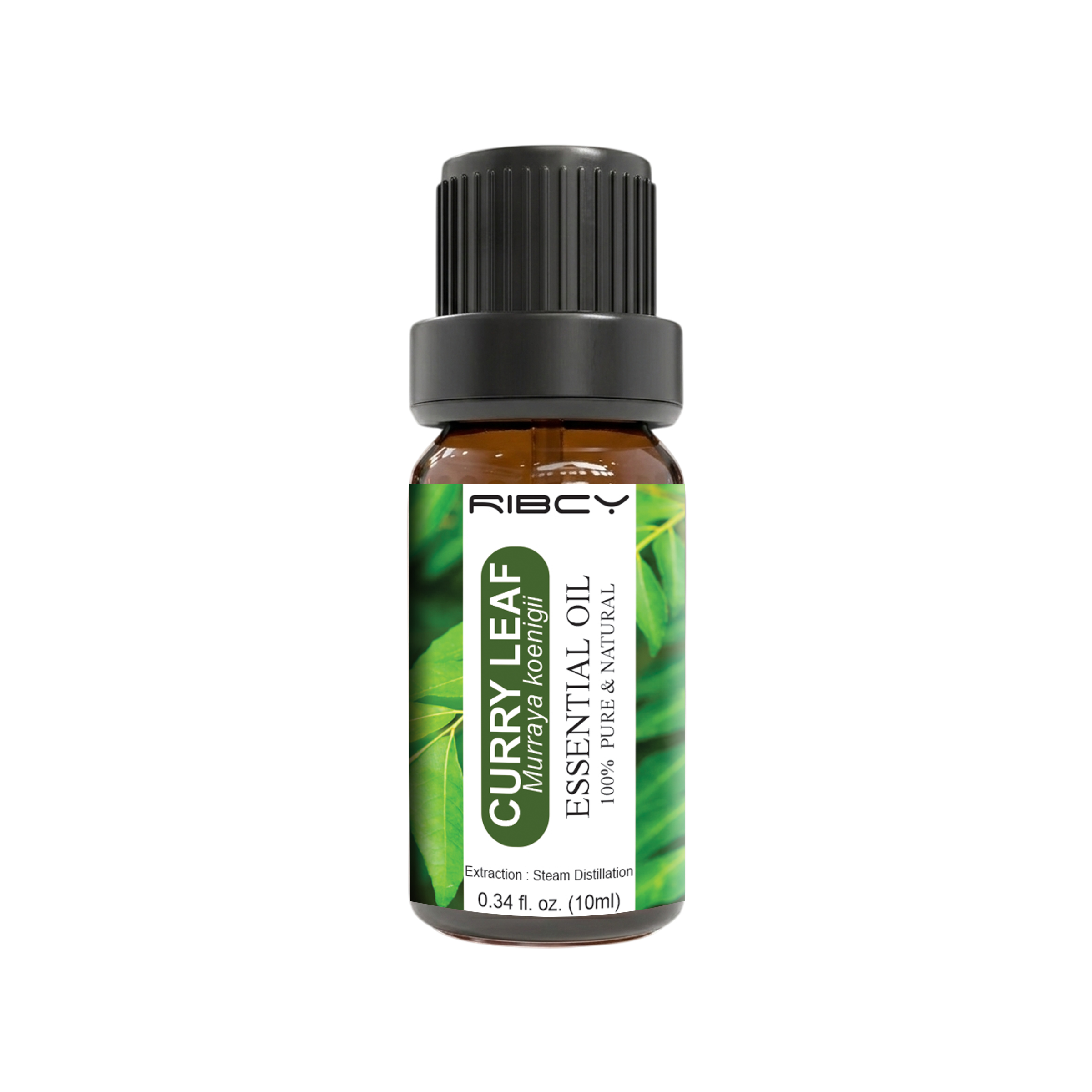 Curry Leaf Essential Oil